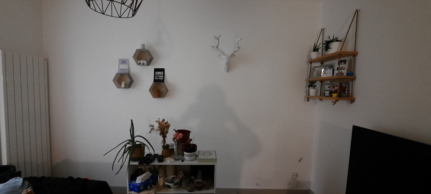 Rénovation de peinture suite à un dégât des eaux à Chambéry — photo 2