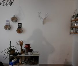 Mur intérieur endommagé par un dégât des eaux à Chambéry