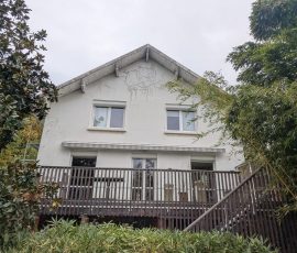Façade avant ravalement, traces de lierre présentes à chambéry