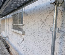 Façade avant ravalement, traces de lierre présentes à Chambéry
